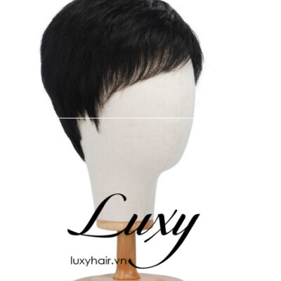 Toc Gia Nam Bang Toc That Cho Nguoi Hoi 1