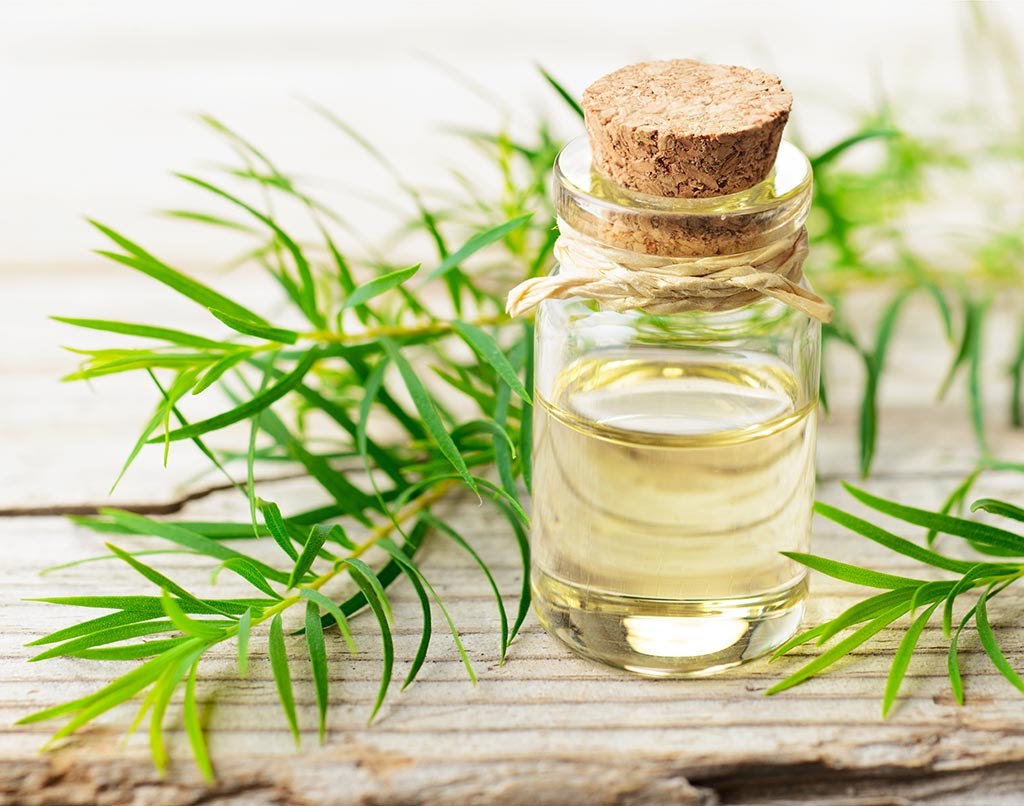 Cách Chữa đầu Bết 8