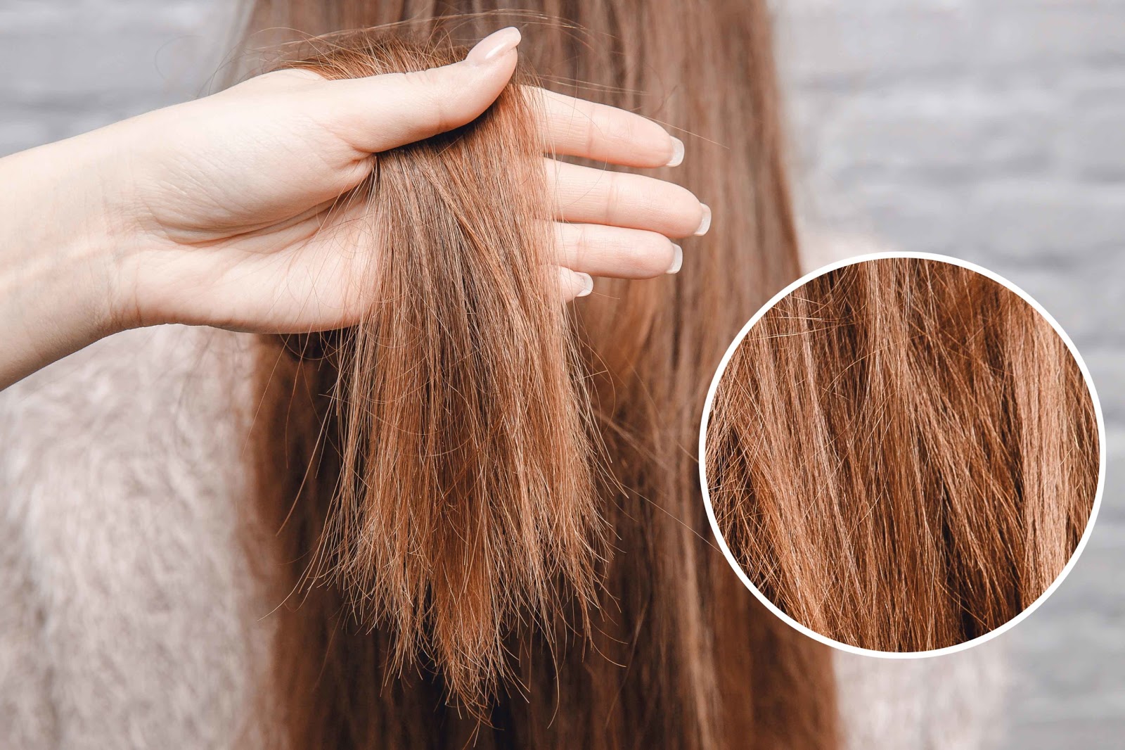Cách phục hồi tóc xơ hiệu quả tại nhà dễ như trở bàn tay